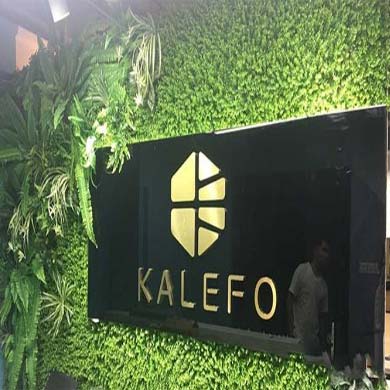 卡勒弗公司前台招牌植物logo墙制作