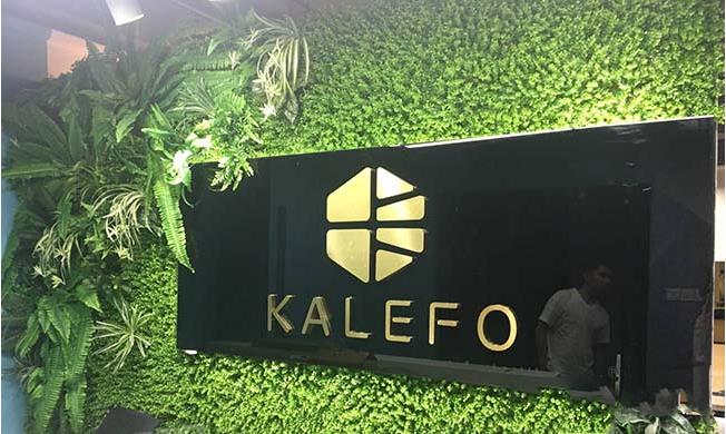 前台植物墙