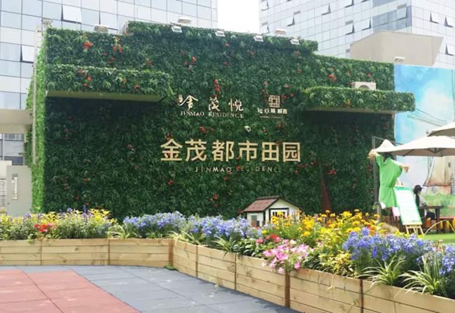 绿植墙